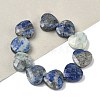 Natural Lapis Lazuli Beads Strands G-A309-A07-01-1