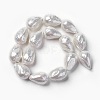 Shell Pearl Beads Strands BSHE-F013-13-1