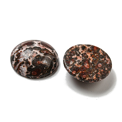 Natural Leopard Skin Jasper Cabochons G-C115-02A-44-1