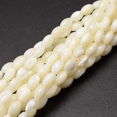 Natural Trochid Shell/Trochus Shell Beads Strands X-SSHEL-K008-06-1