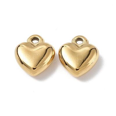 Ion Plating(IP) 304 Stainless Steel Charms X-STAS-C066-16G-1