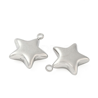 304 Stainless Steel Pendants STAS-S186-01B-P-1
