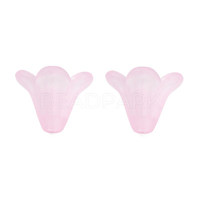 Frosted Acrylic Beads PL692-6-1