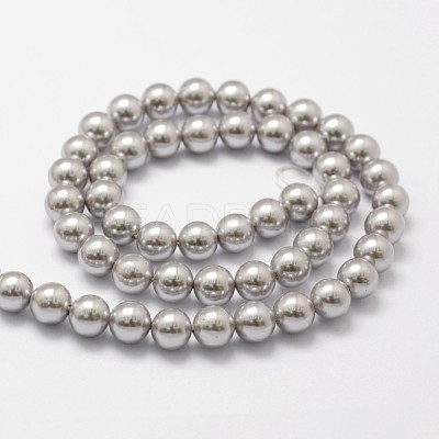 Shell Pearl Beads Strands X-BSHE-L026-05-8mm-1
