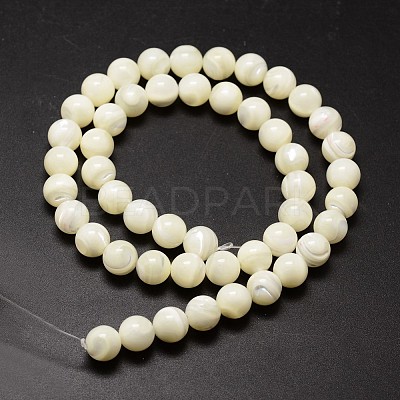 Natural Shell Beads Strands X-SSHEL-E571-39-4mm-1