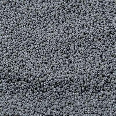 MIYUKI Round Rocailles Beads X-SEED-G009-RR0499-1