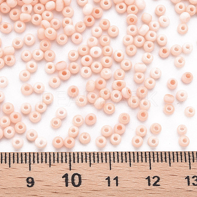8/0 Opaque Glass Seed Beads X1-SEED-S048-N-013-1