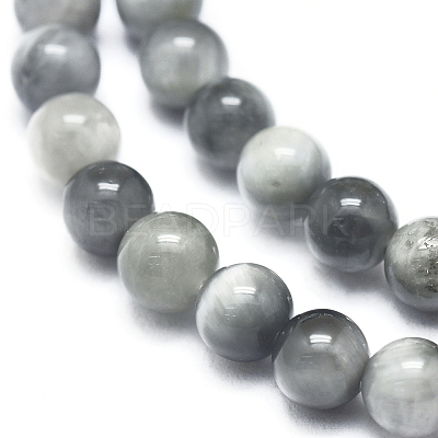 Natura Hawk's Eye Beads Strands G-D0001-22C-10mm-1