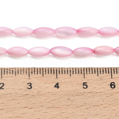 Natural Freshwater Shell Beads Strands SHEL-C010-01E-1