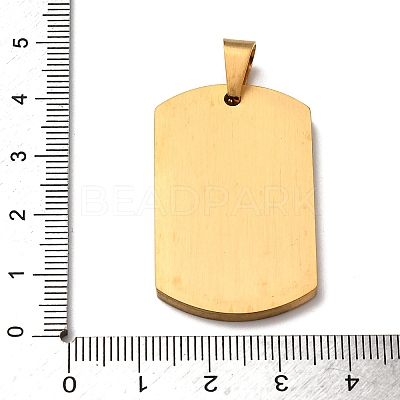 304 Stainless Steel Pendants STAS-F323-06G-1