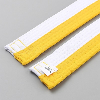 Taekwondo Belt AJEW-WH20022-73E-04-1