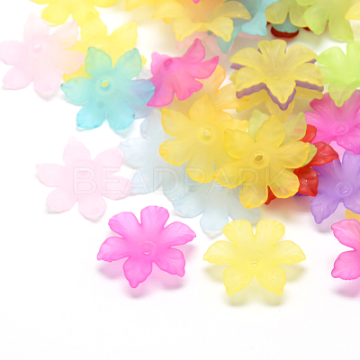 Transparent Acrylic Beads FACR-S005-M-1