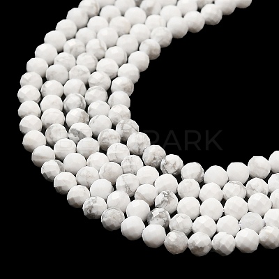Natural Howlite Beads Strands X-G-E608-A01-B-1