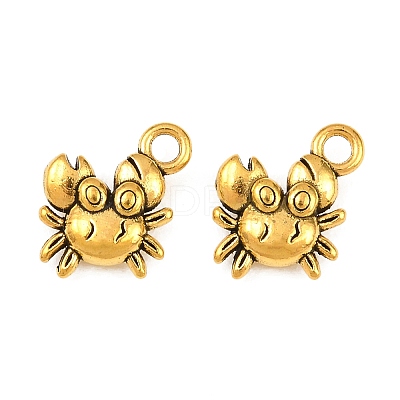 Alloy Charms PALLOY-ZN49542-AG-FF-1
