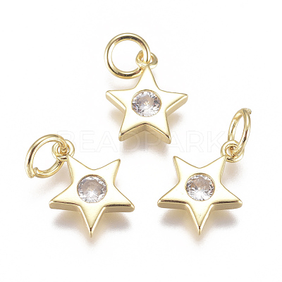 Brass Micro Pave Cubic Zirconia Charms ZIRC-F111-09G-08-1