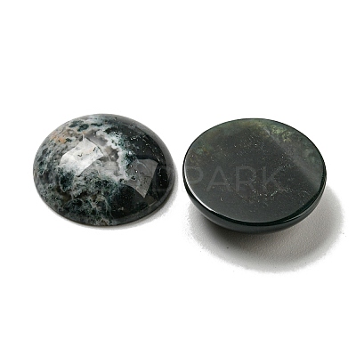 Natural Moss Agate Cabochons G-C115-02A-46-1