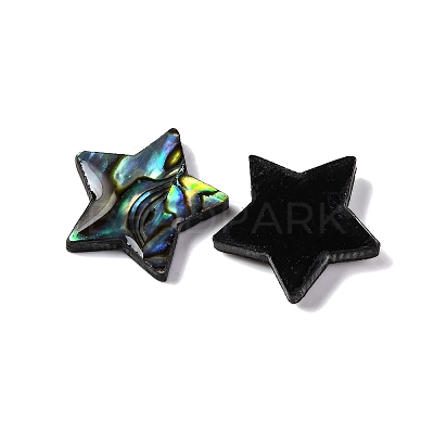 Natural Paua Shell Epoxy Resin Cabochons SSHEL-S279-01F-1