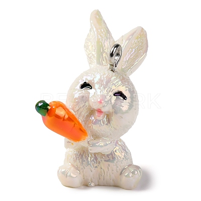 Animal Theme Resin Pendants RESI-S010-04G-1