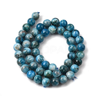 Natural Apatite Beads Strands G-G858-01B-01-1
