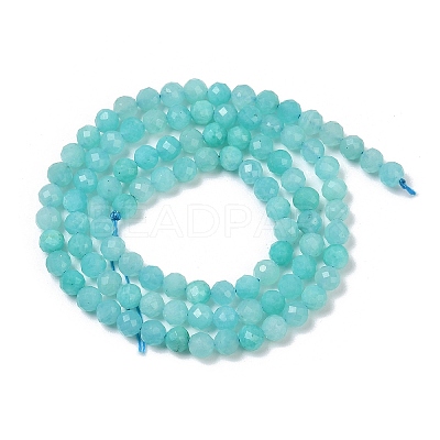 Natural Amazonite Beads Strands X-G-I379-A02-02-1
