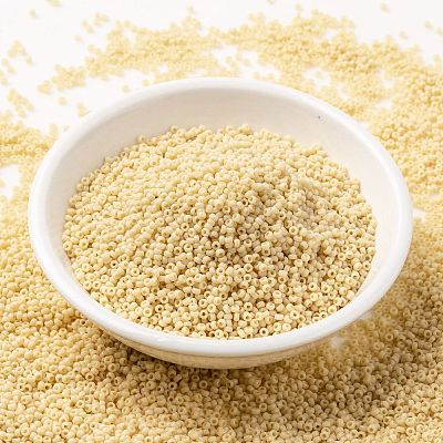 MIYUKI Round Rocailles Beads SEED-G009-RR0493-1