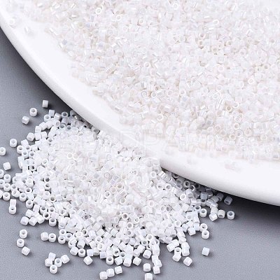 FGB 11/0 Grade A Baking Paint Glass Seed Beads X-SEED-S030-0401-1
