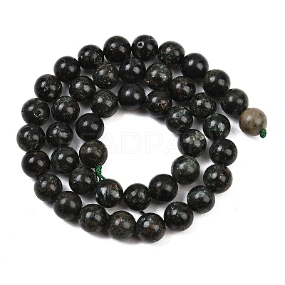 Natural Seraphinite Beads Strands G-H337-A03-04-1