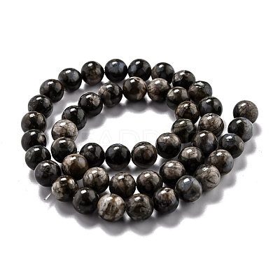 Natural Glaucophane Beads Strands G-L574-01C-1