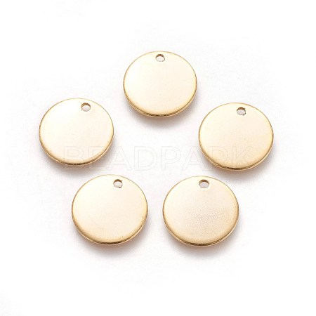 304 Stainless Steel Charms STAS-I098-06-1