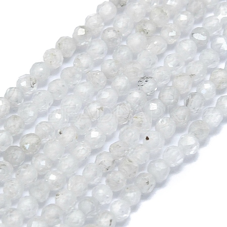 Natural Zircon Beads Strands G-G106-C07-01-1
