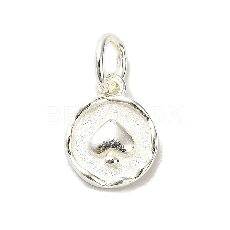 Sterling Silver Charms STER-E070-03B-1