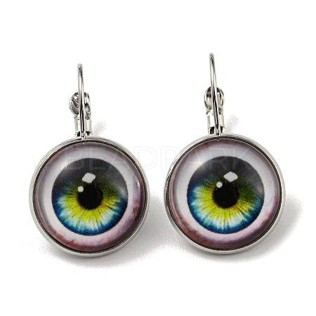 Eye Glass Leverback Earrings with Brass Earring Pins EJEW-Q798-01I-1