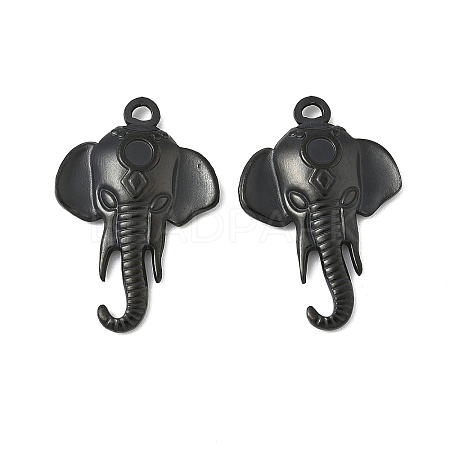 Ion Plating(IP) 304 Stainless Steel Pendants STAS-H172-09B-1