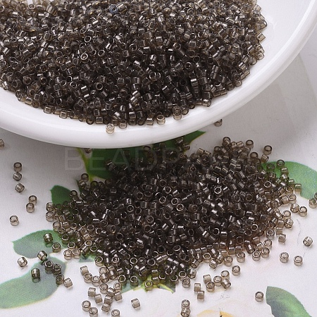 MIYUKI Delica Beads SEED-X0054-DB0123-1