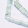 Natural Myanmar Jade/Burmese Jade Beads Strands G-O173-065-3