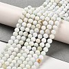 Natural Green Opal Beads Strands G-Z035-A02-03D-2