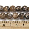 Natural Black Moonstone Beads Strands G-Q183-A01-02-5