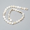 Natural Freshwater Shell Beads BSHE-I011-01D-02-2