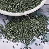 MIYUKI Delica Beads X-SEED-J020-DB1575-1