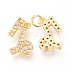 Brass Micro Pave Clear Cubic Zirconia Charms ZIRC-O036-30G-C-2