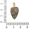 Natural Labradorite Pendants G-C290-01D-3