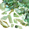 Natural Abalone/Paua Shell Mica Fragment MRMJ-N026-001-A04-1