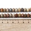 Natural Alashan Agate Beads Strands G-B179-A03-6x8mm-5