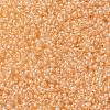 MIYUKI Round Rocailles Beads SEED-X0056-RRHB274-3