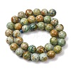 Natural Peruvian Turquoise(Jasper) Beads Strands G-T150-A01-10mm-4