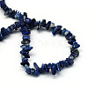 Natural Lapis Lazuli Stone Bead Strands X-G-R192-A08-2