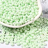 Baking Paint Glass Seed Beads SEED-B001-02A-11-1