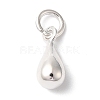 925 Sterling Silver Charms STER-M120-01C-S-1