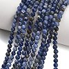 Natural South Africa Sodalite Beads Strands LS-G-S259-35-4mm-2