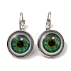 Eye Glass Leverback Earrings with Brass Earring Pins EJEW-Q798-01E-1